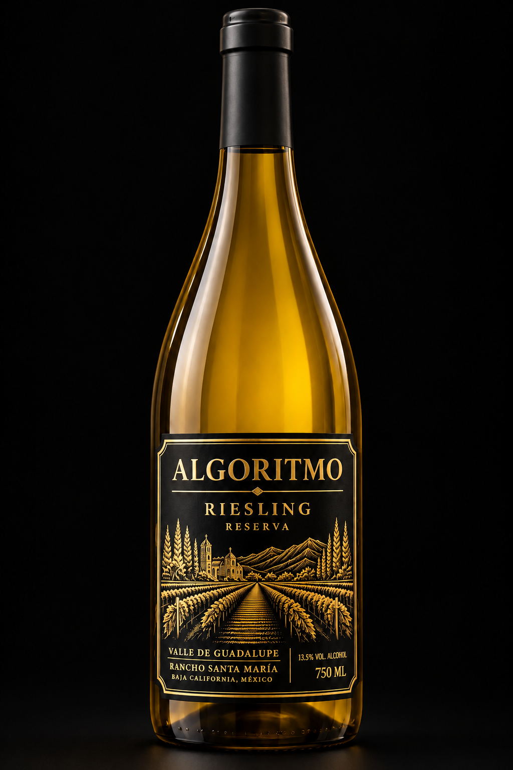 Botella ALGORITMO